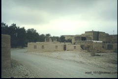 التاريخ العريق12