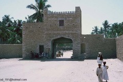 التاريخ العريق4