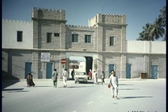 التاريخ العريق11