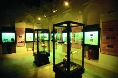 متحف قلعة صحار