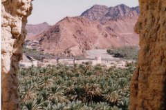 برج مرتفع