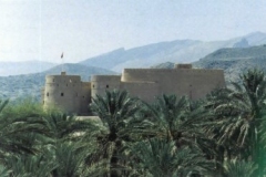 حصن جبرين