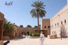 التاريخ العريق3
