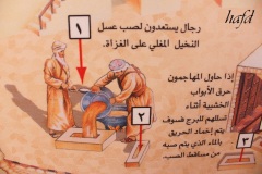 التاريخ العريق5