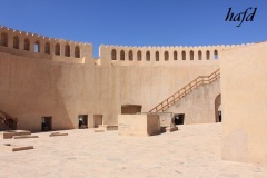 التاريخ العريق13