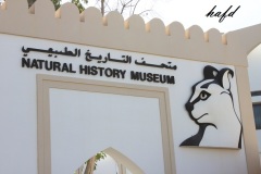 التاريخ العريق1