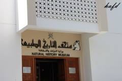 التاريخ العريق3