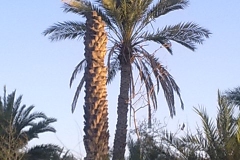 الطبيعة الساحره1