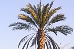 الطبيعة الساحره2