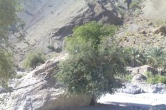 الطبيعة الساحره1