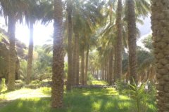 الطبيعة الساحره6