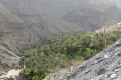 الطبيعة الساحره8