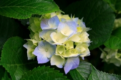 الطبيعة الساحره2