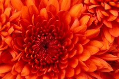 الطبيعة الساحره5