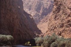 منظر طبيعي