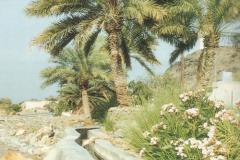 منظر طبيعي
