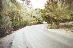 منظر طبيعي