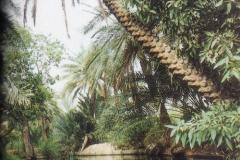 منظر طبيعي