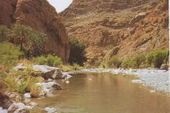 مجرى وادي
