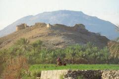 منظر طبيعي