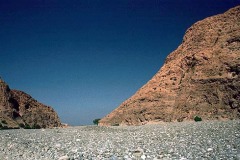 وادي الجزي