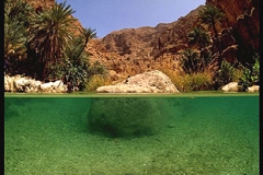 وادي الأبيض