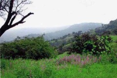 الطبيعة الساحره8