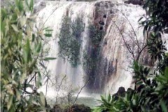 الطبيعة الساحره10