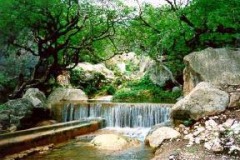 الطبيعة الساحره7