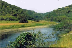 الطبيعة الساحره4