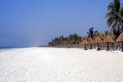 الطبيعة الساحره8