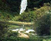 الطبيعة الساحره13