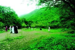 الطبيعة الساحره14