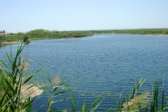 الطبيعة الساحره8