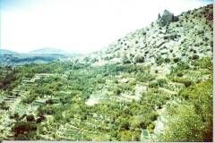 الجبل الأخضر
