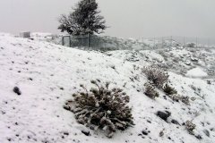 جبل شمس 4
