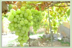 الطبيعة الساحره4