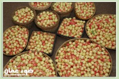 الطبيعة الساحره9