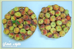 الطبيعة الساحره12
