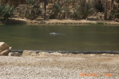 الطبيعة الساحره3