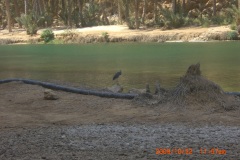 الطبيعة الساحره6