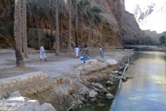 الطبيعة الساحره11