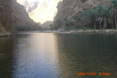 الطبيعة الساحره10