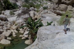 الطبيعة الساحره12