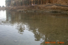 الطبيعة الساحره14