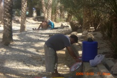 الطبيعة الساحره1
