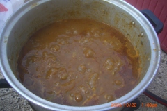 الطبيعة الساحره2