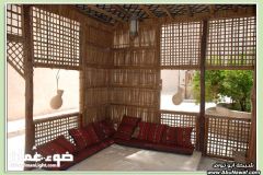 صور تاريخية3