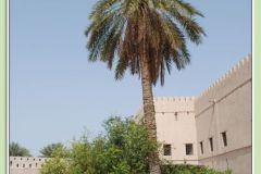 صور تاريخية4
