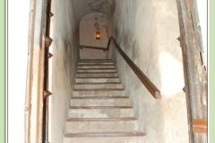 صور تاريخية5